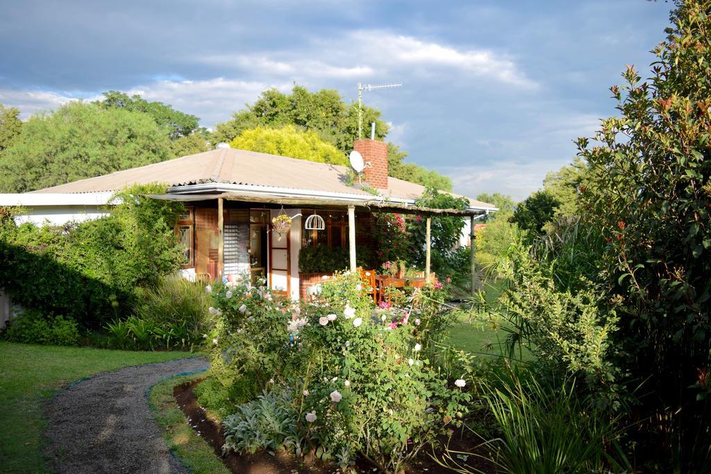 Patterson B&B Newcastle Luaran gambar